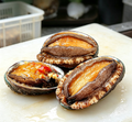 Abalone Meat